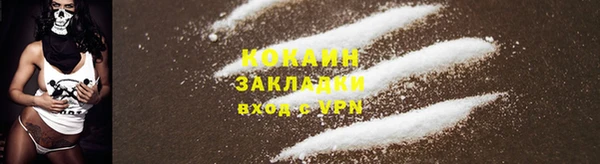 кокс Алзамай