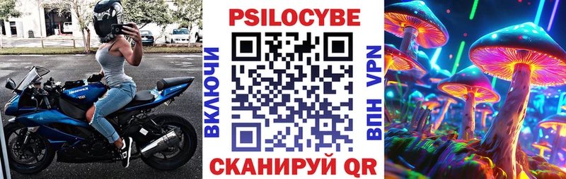 blacksprut маркетплейс  Алзамай  Псилоцибиновые грибы MAGIC MUSHROOMS 